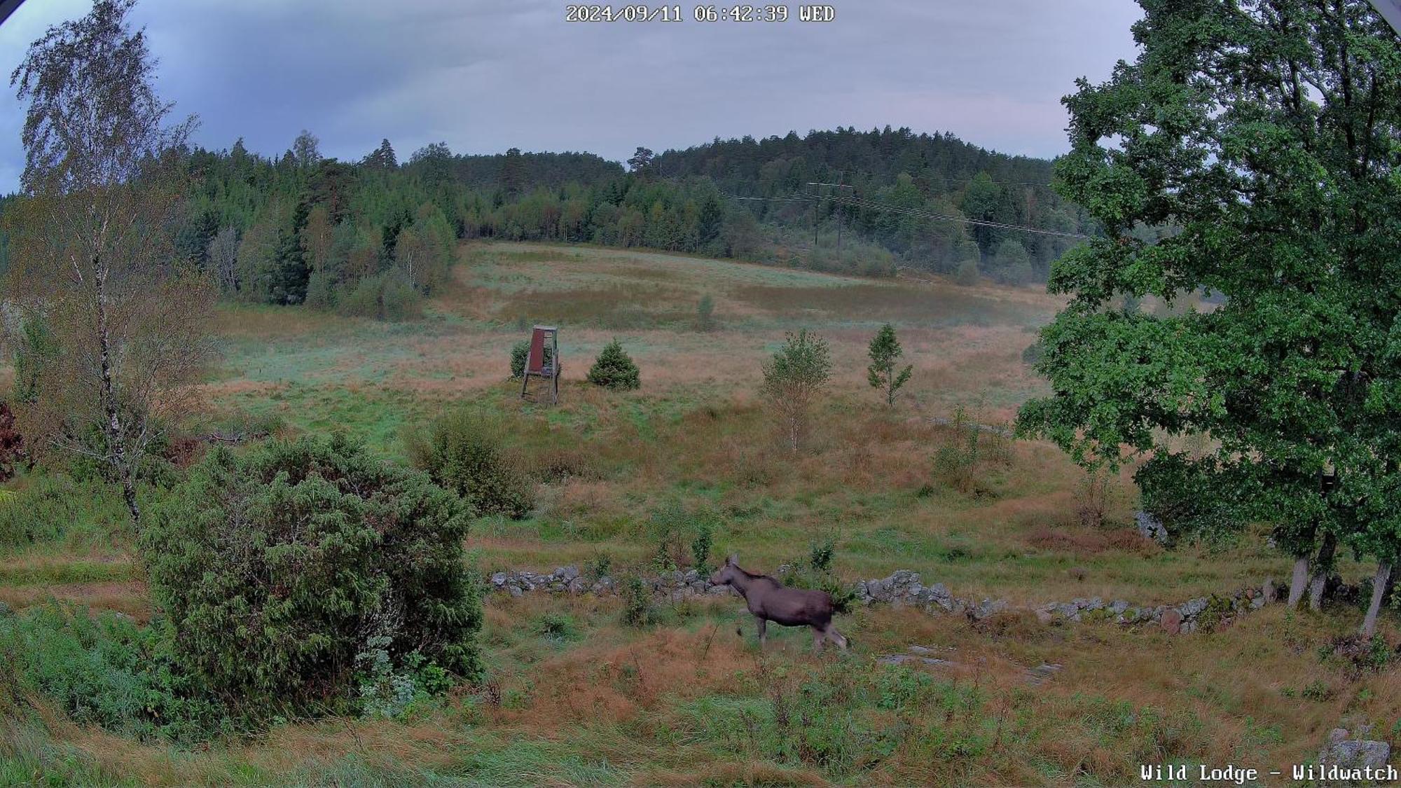 Wild Lodge Nol Εξωτερικό φωτογραφία