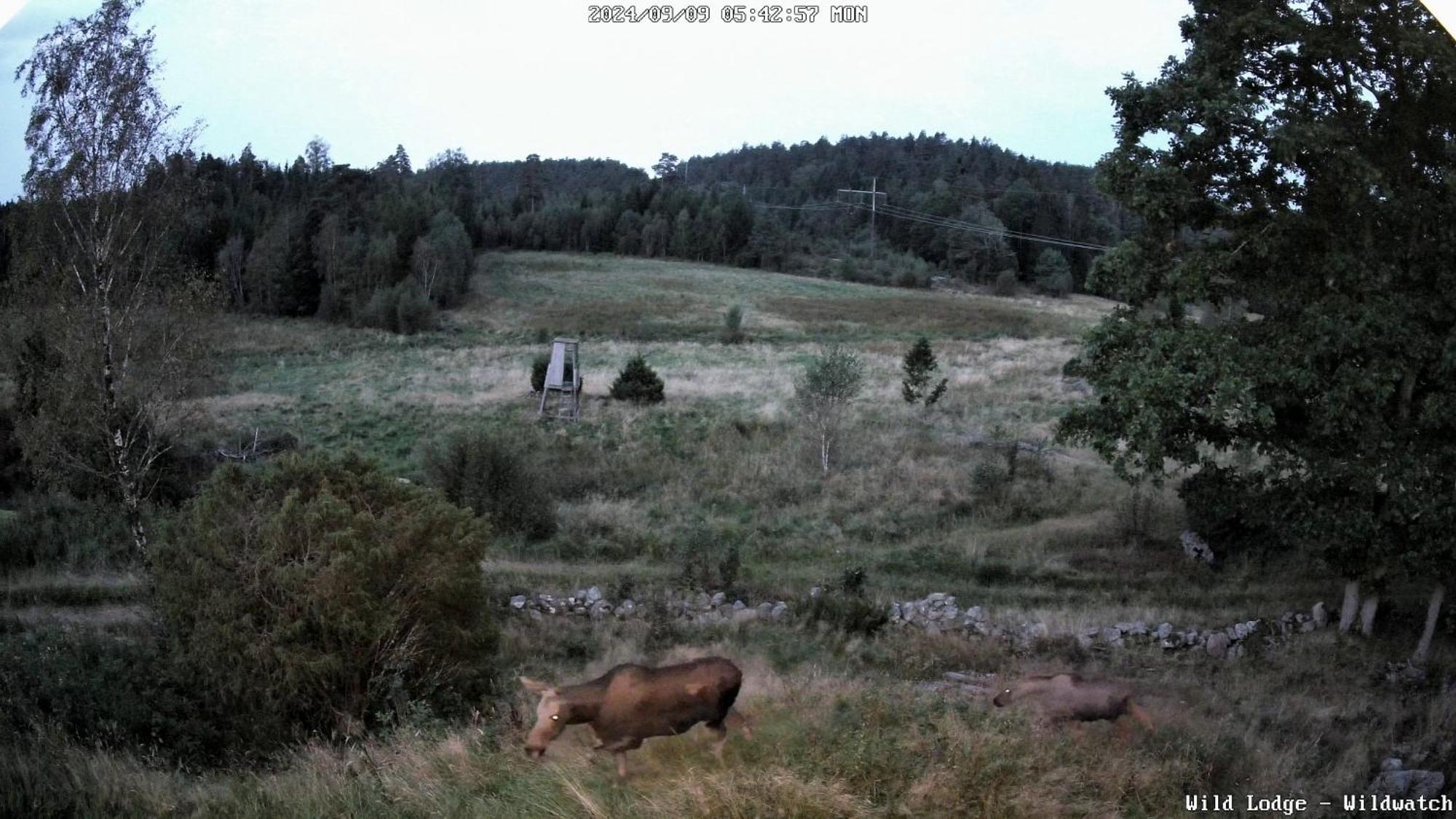 Wild Lodge Nol Εξωτερικό φωτογραφία